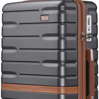 Carry On Luggage Sets,20 Inch Carry-on Suitcase with Spinner Wheels,PC+ABS Lightweight Hardshell with TSA lock,Airline Approved YKK Zippers (gray)