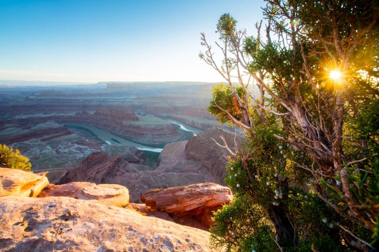 The Art of Slow Travel: Embracing Nature and Mindfulness